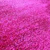 Oklahoma 8'x10' Rug