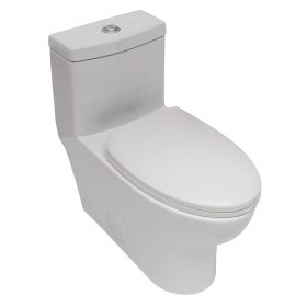 Ceramic One Piece Toilet,Dual Flush with Soft Clsoing Seat (Color: as Pic)